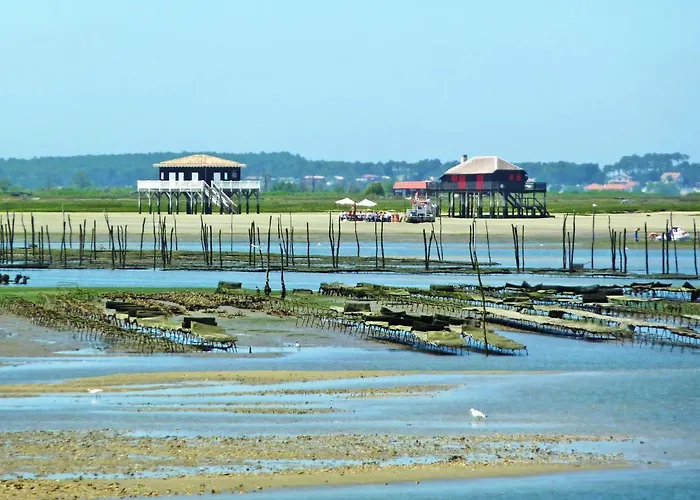 Les Tamaris By Interhome * Arcachon