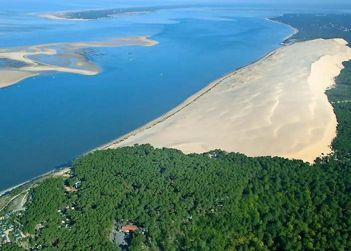 Les Tamaris By Interhome Arcachon