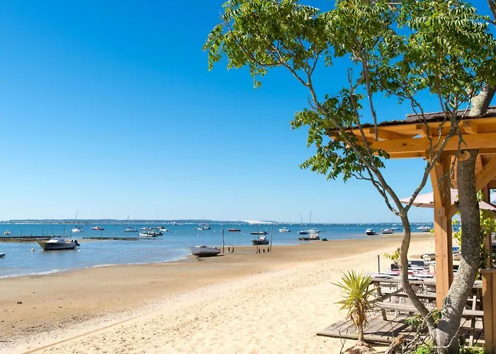 Les Tamaris By Interhome Arcachon